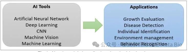 ������(�й���)���޹�˾����