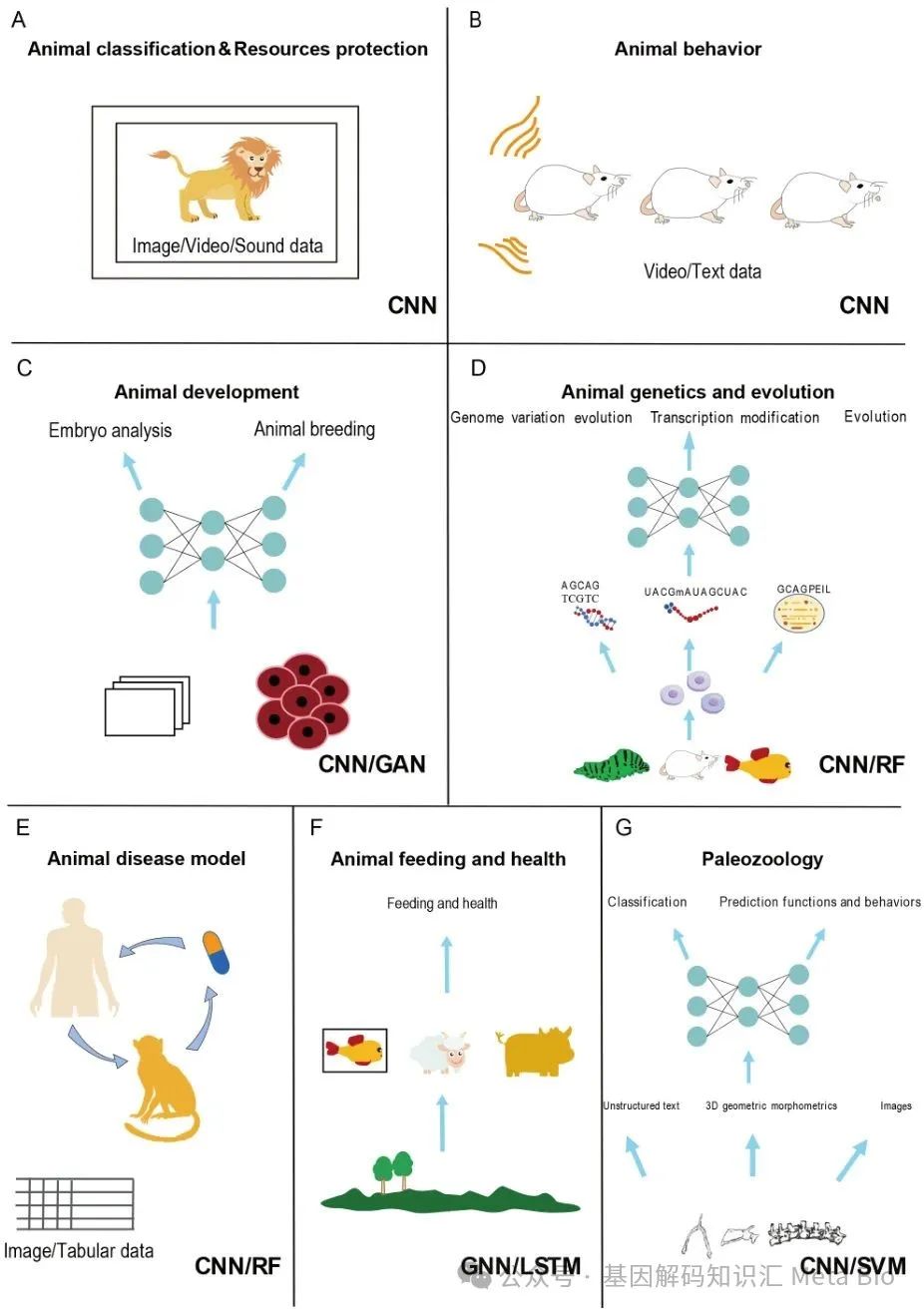������(�й���)���޹�˾����