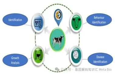 ������(�й���)���޹�˾����