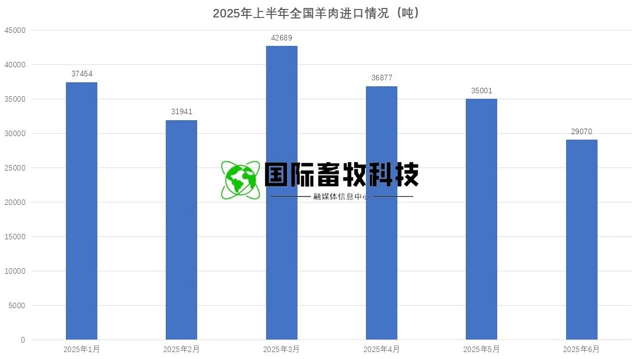 ������(�й���)���޹�˾����