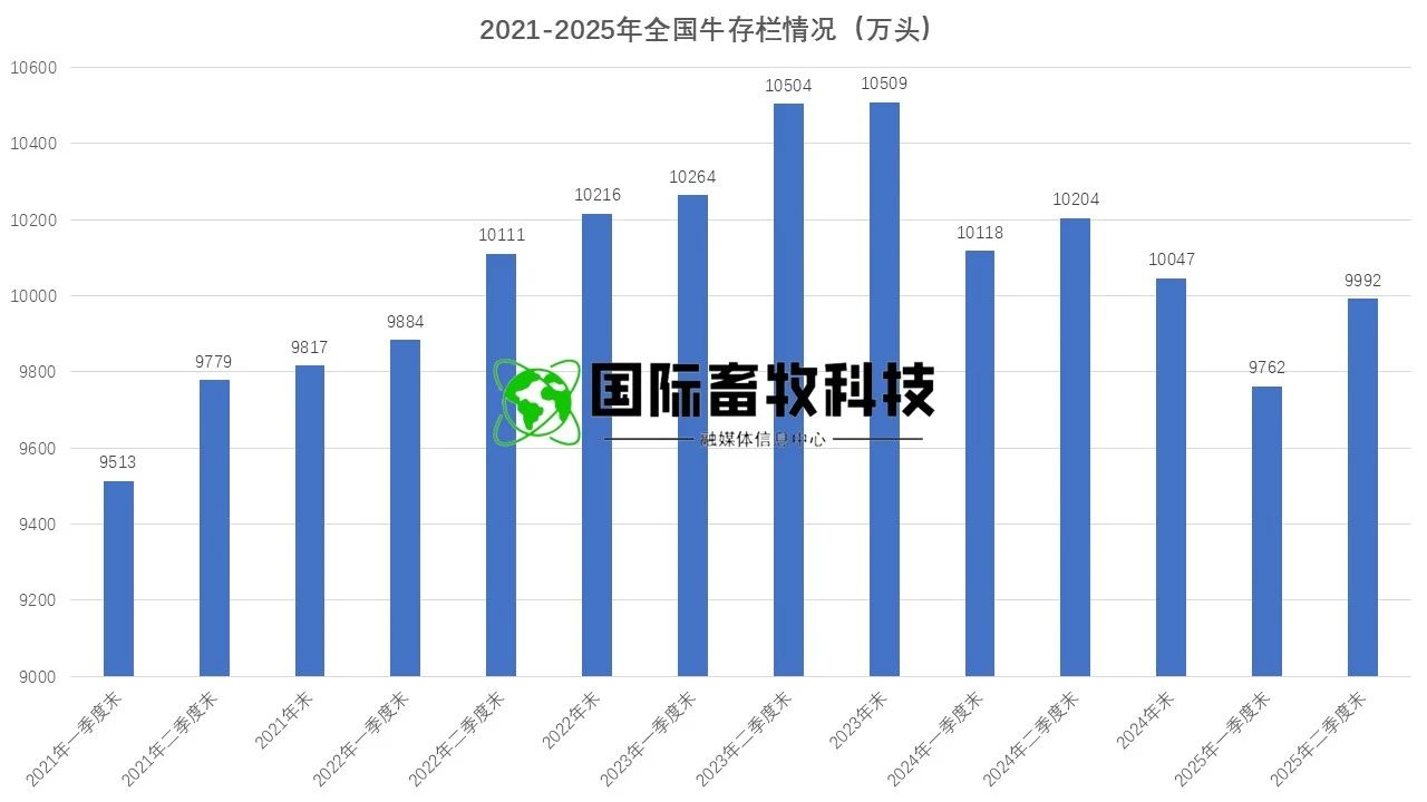 ������(�й���)���޹�˾����