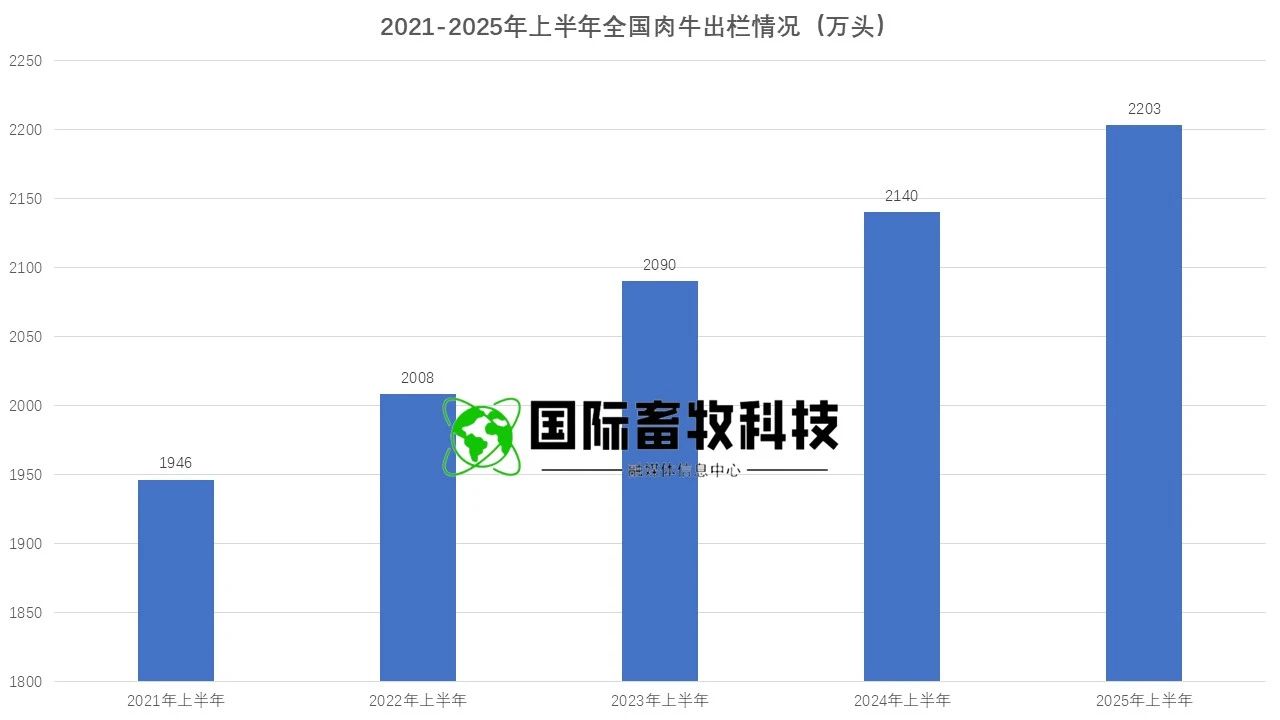 ������(�й���)���޹�˾����